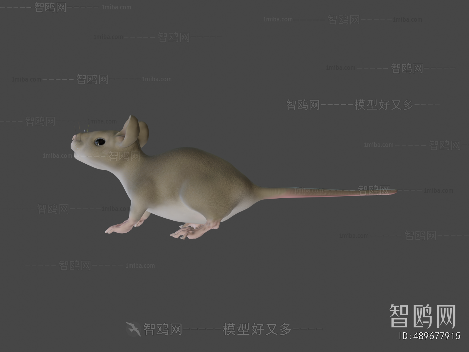 Modern Animal