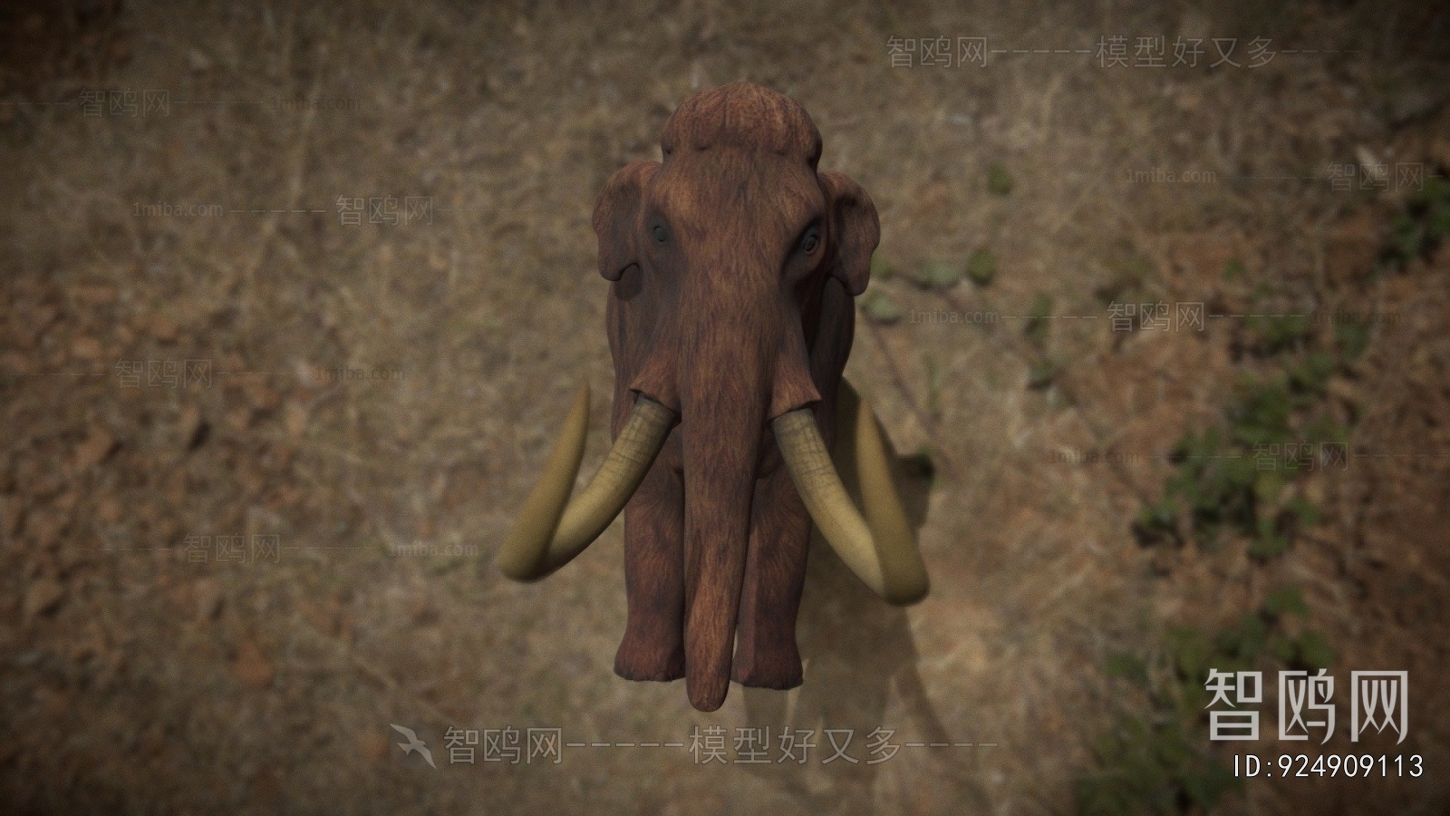Modern Animal