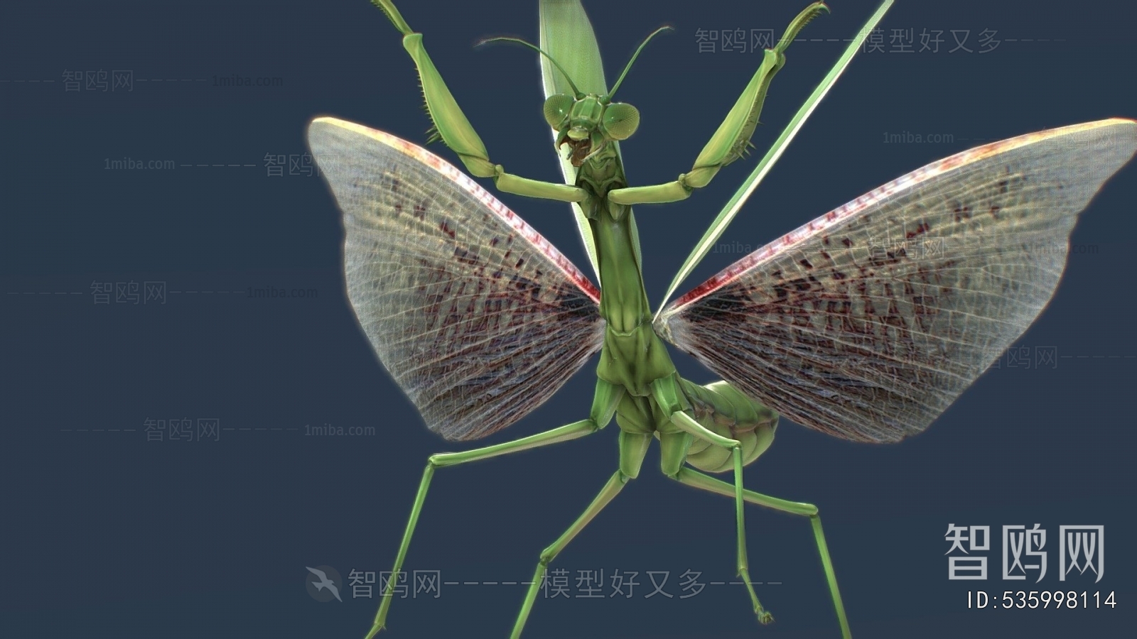 Modern Animal