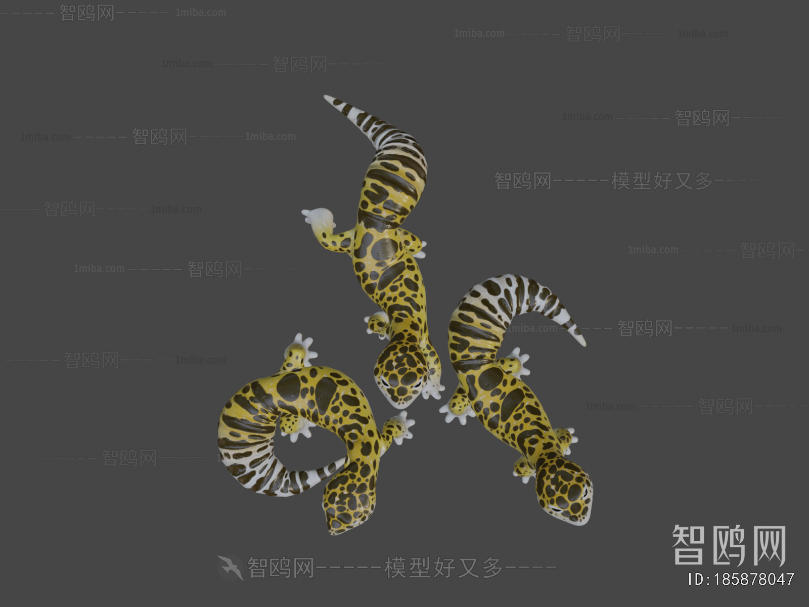 Modern Reptile