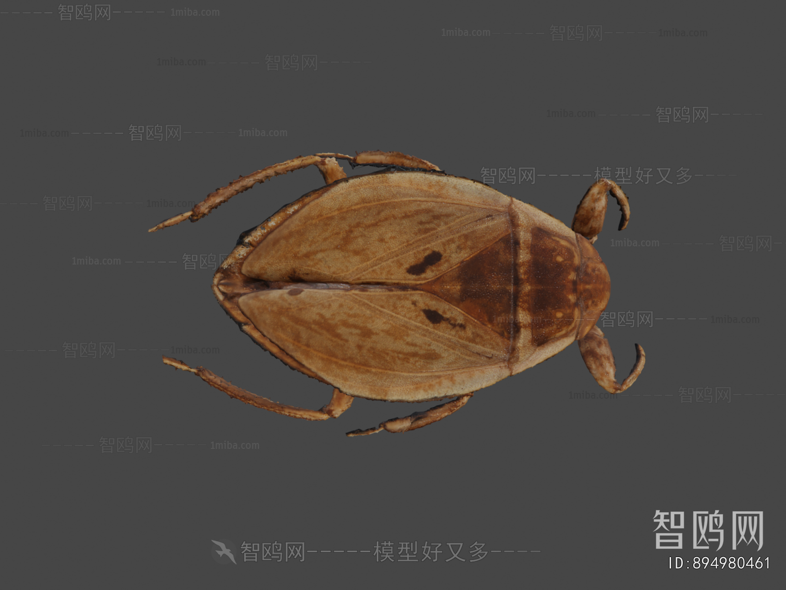 Modern Animal