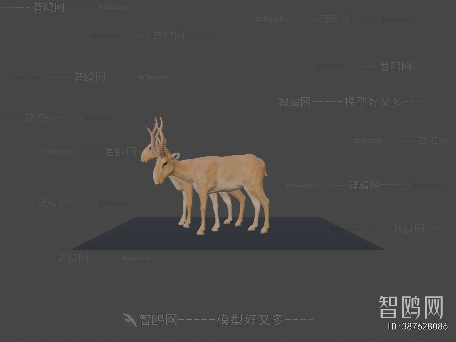 Modern Mammal