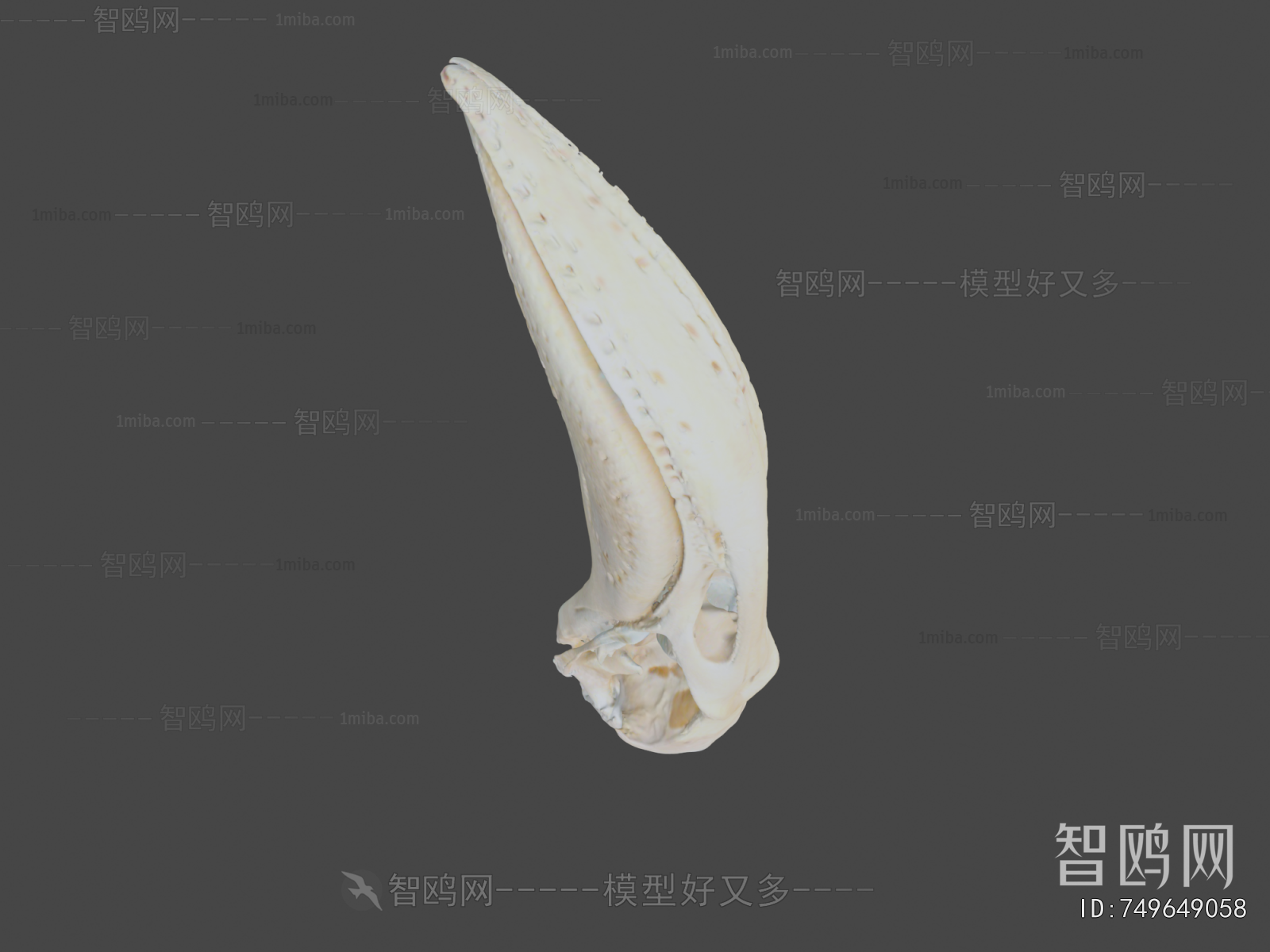 Modern Medical Equipment