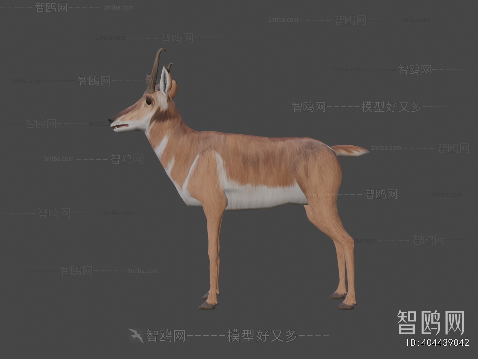 Modern Animal