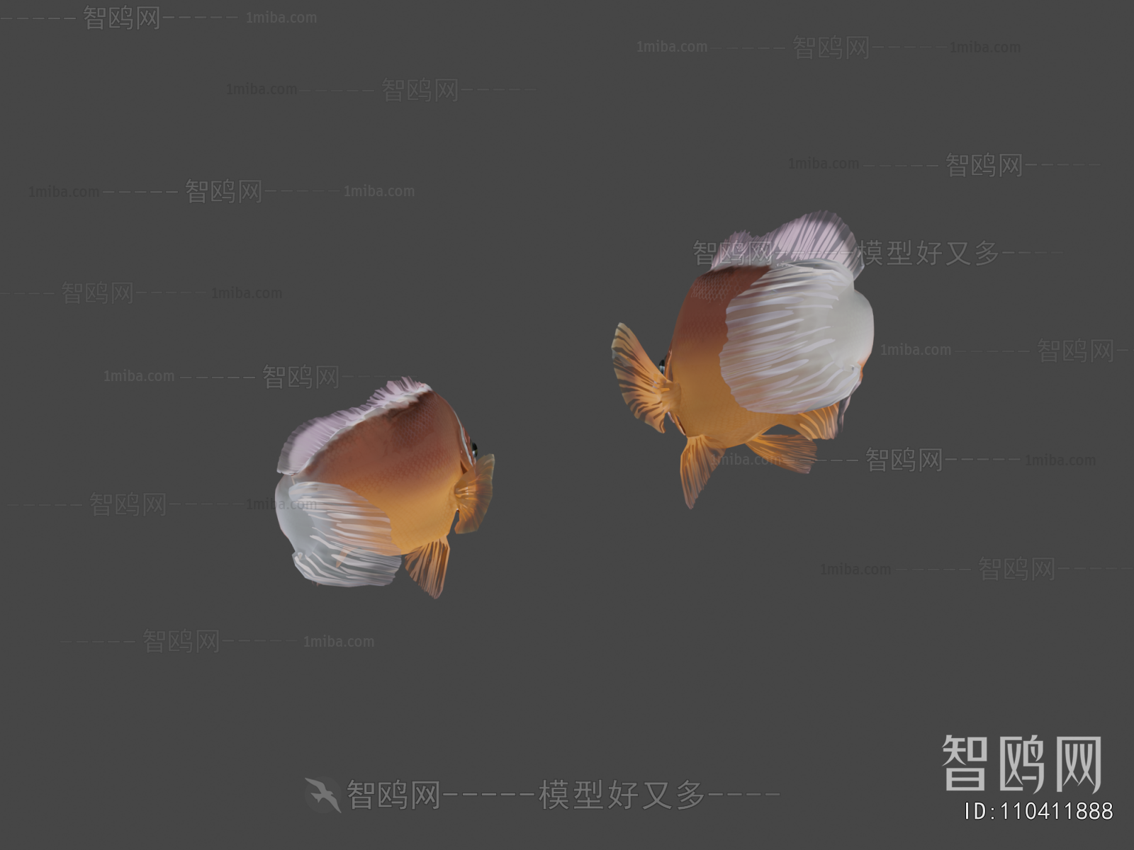 Modern Aquatic Animals