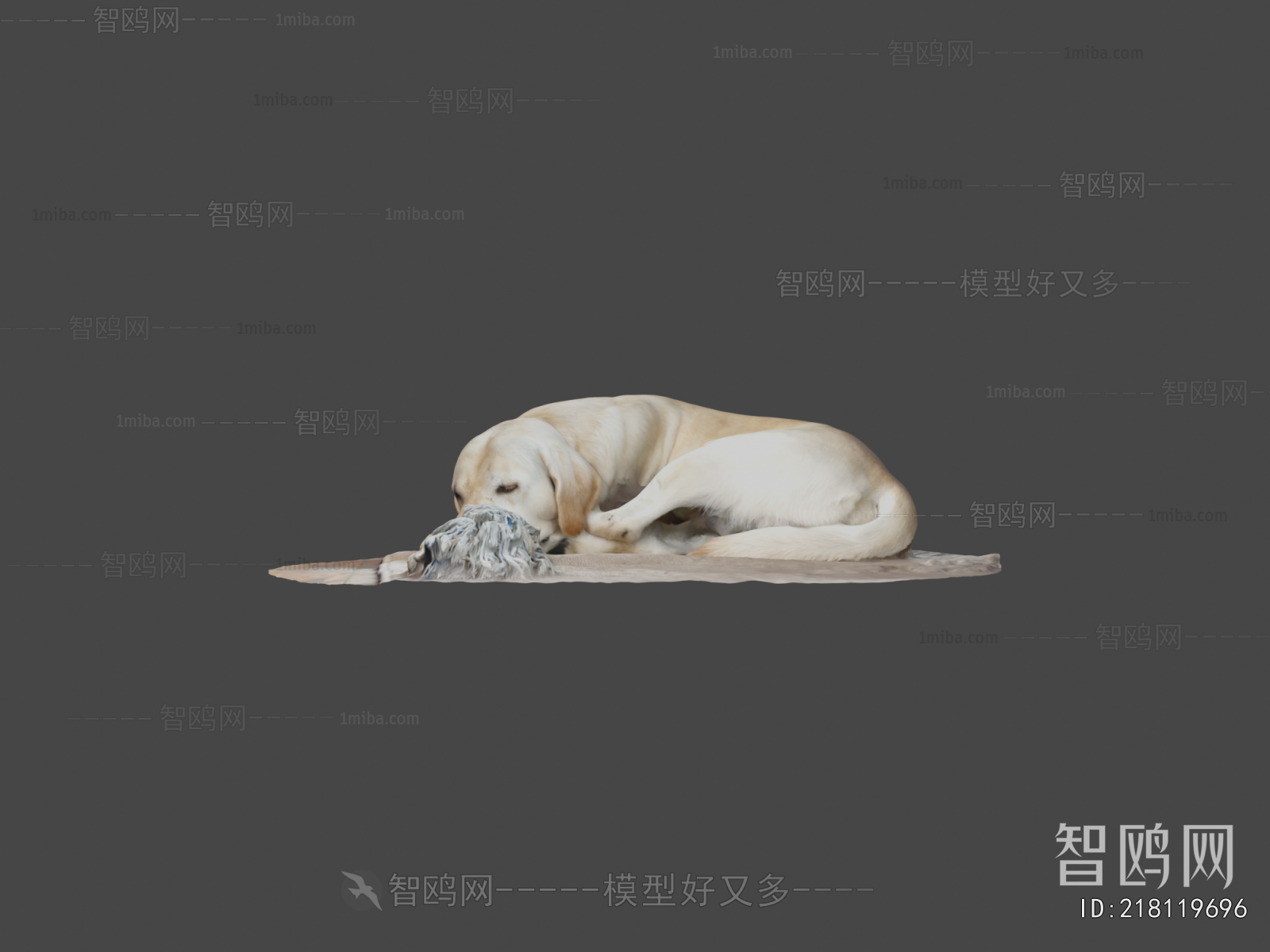 Modern Animal Dog
