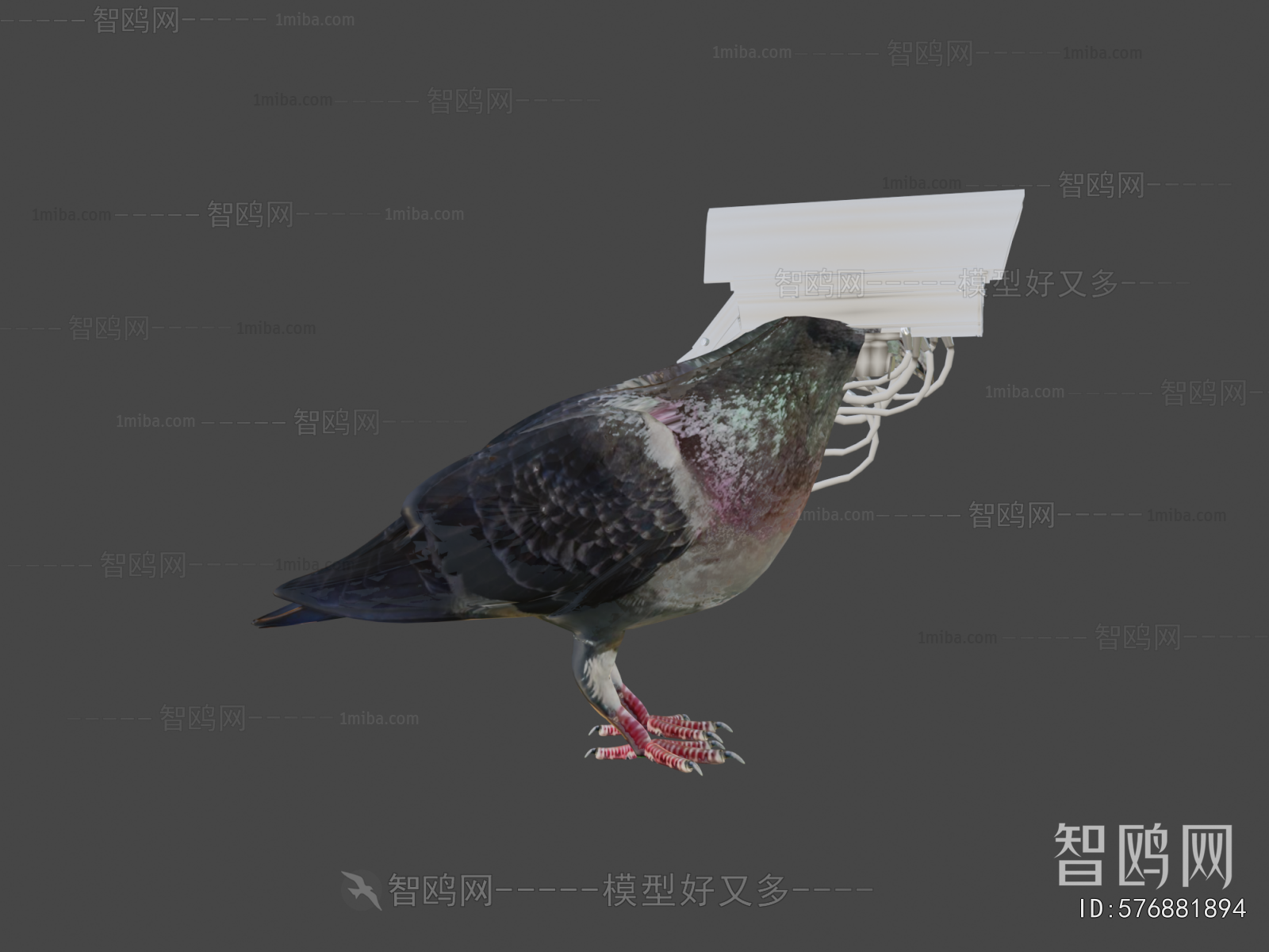 Modern Animal