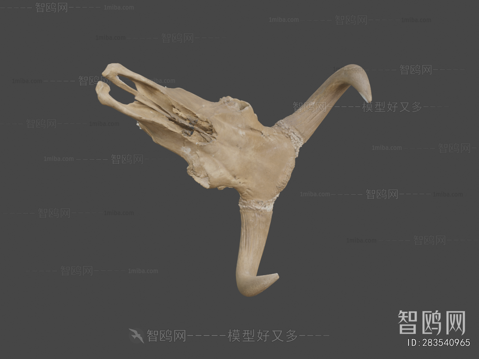 Modern Medical Equipment