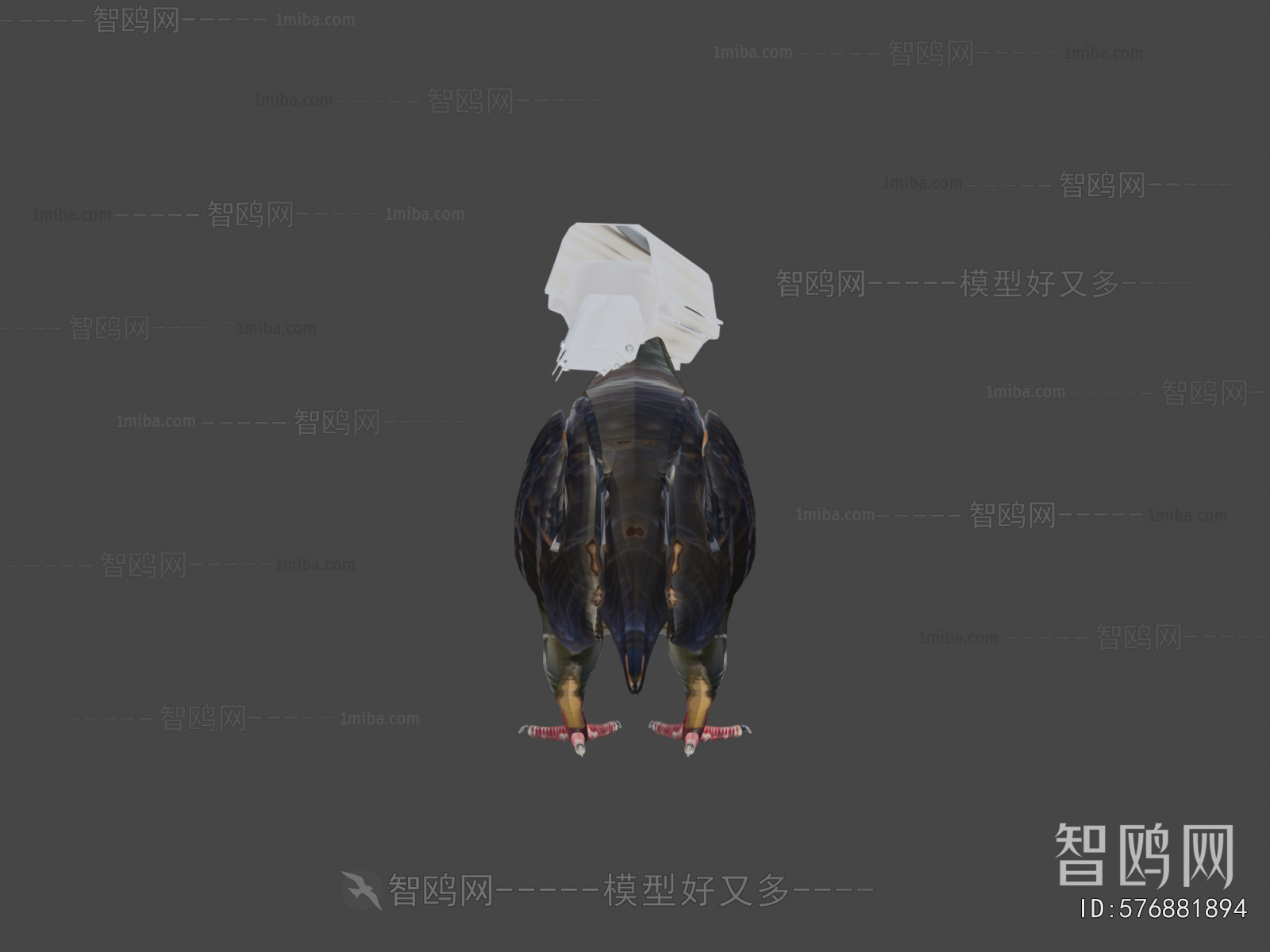 Modern Animal