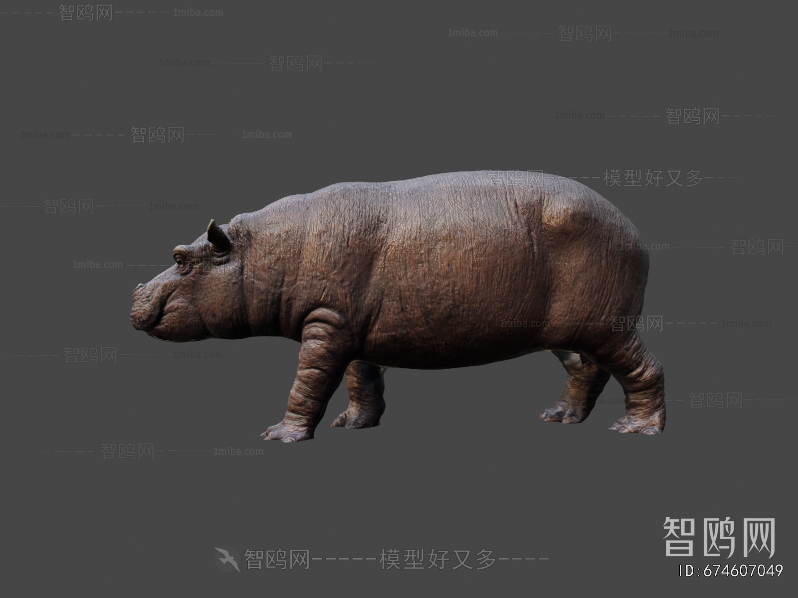 Modern Animal