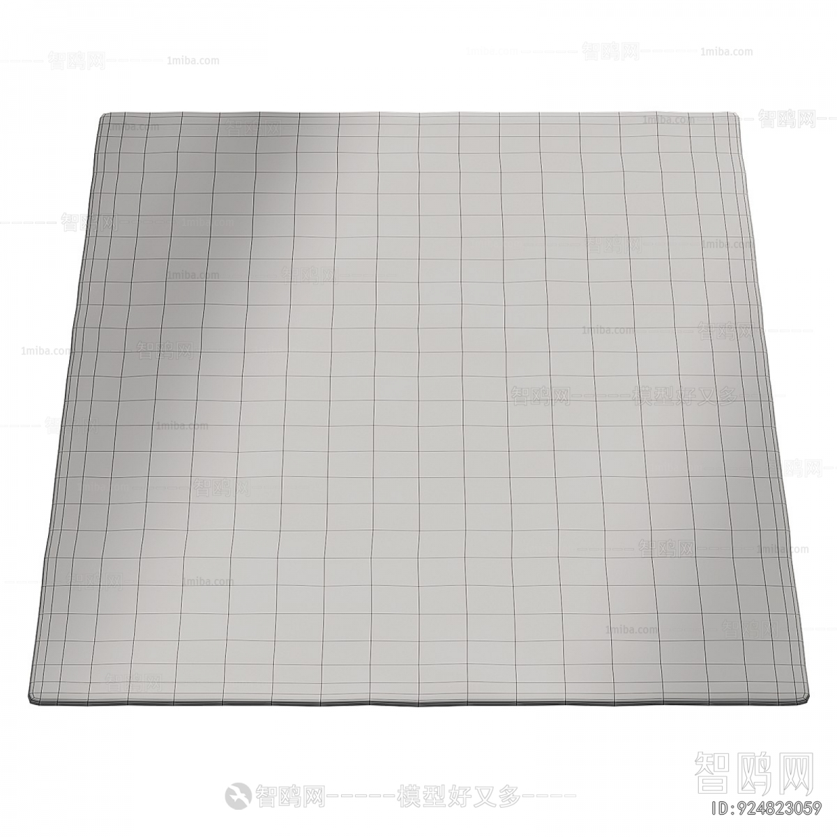 Modern The Carpet