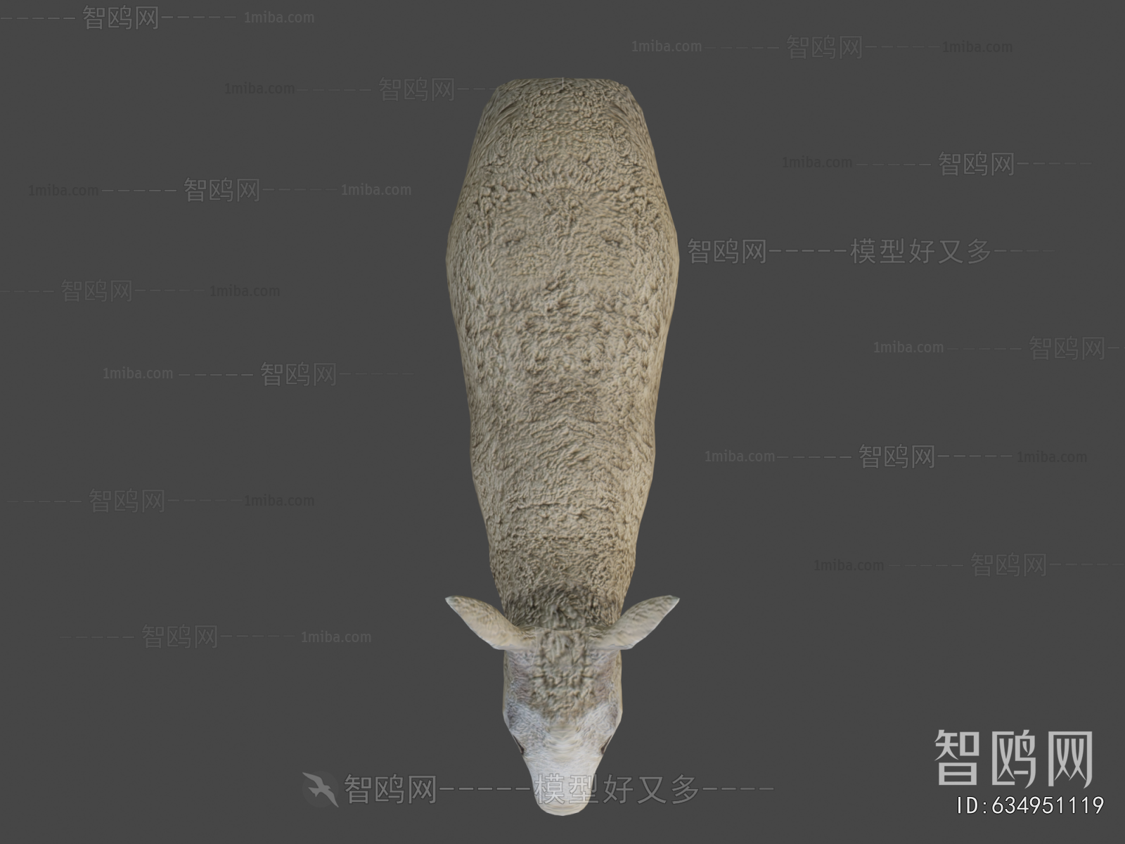 Modern Animal