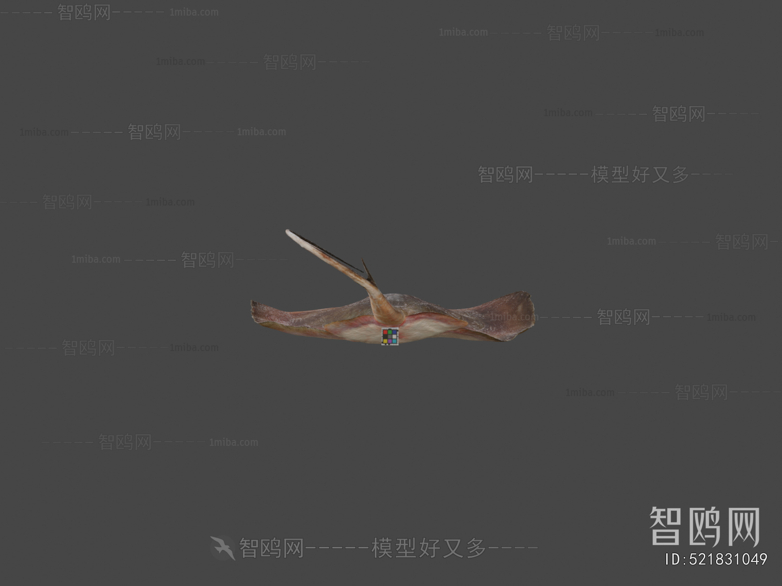 Modern Aquatic Animals