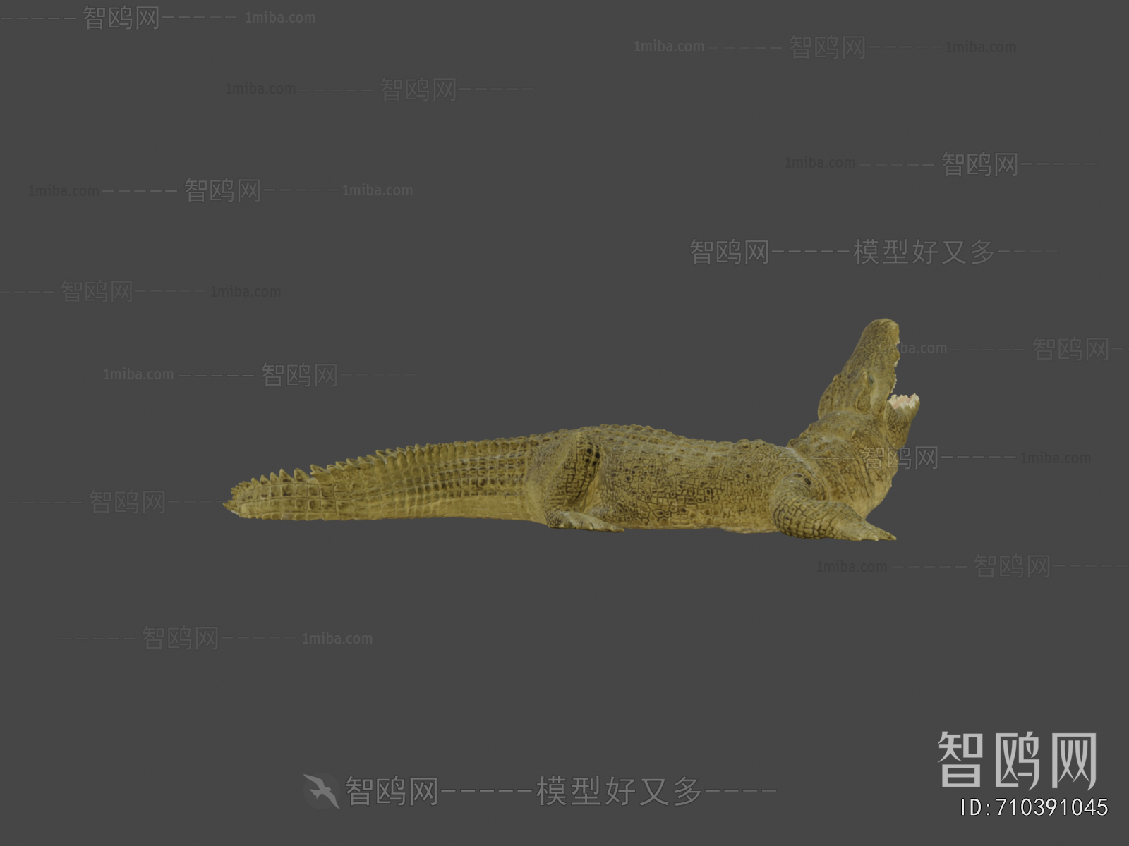 Modern Aquatic Animals