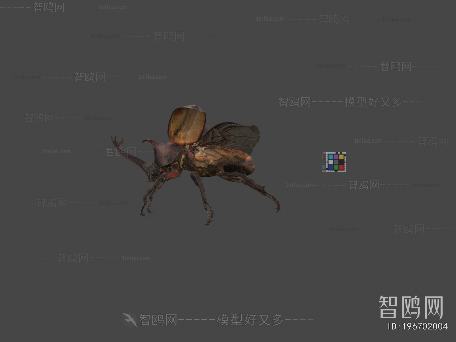 Modern Animal