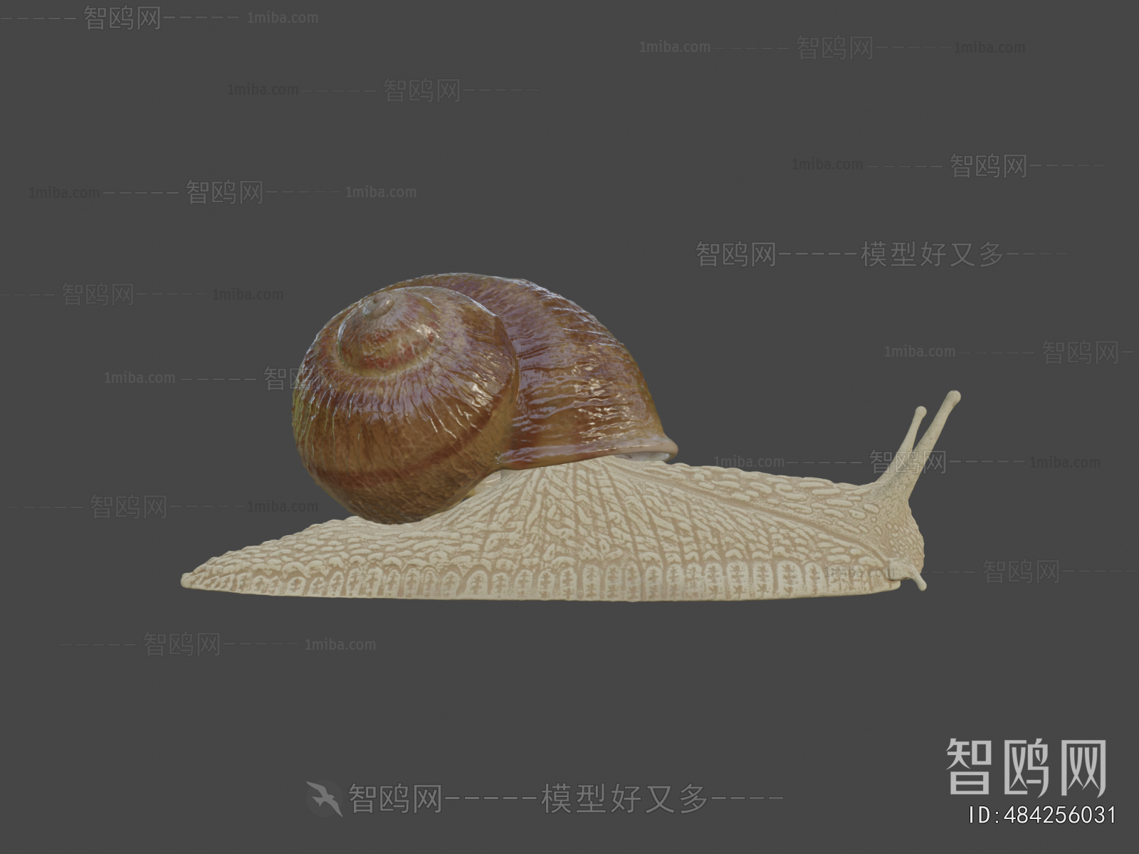 Modern Reptile