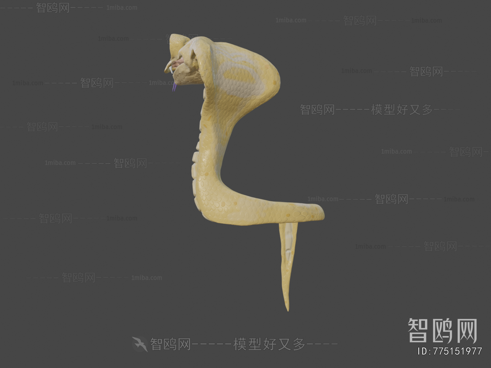 Modern Animal