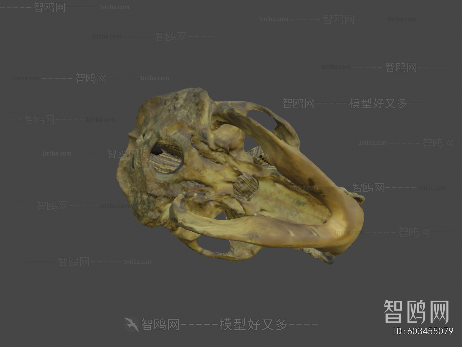 Modern Medical Equipment