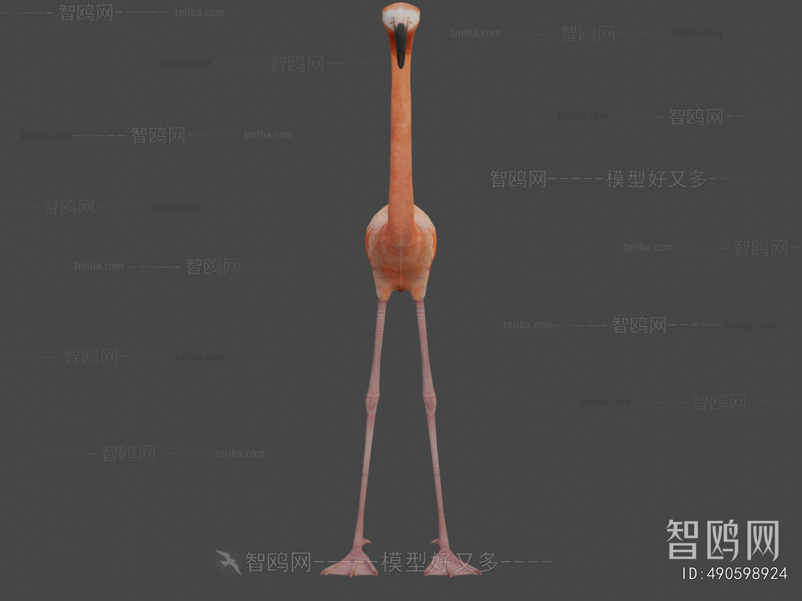 Modern Animal