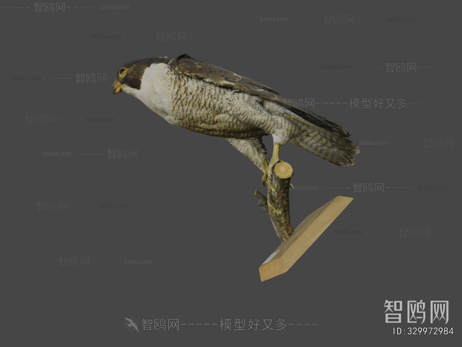 Modern Animal