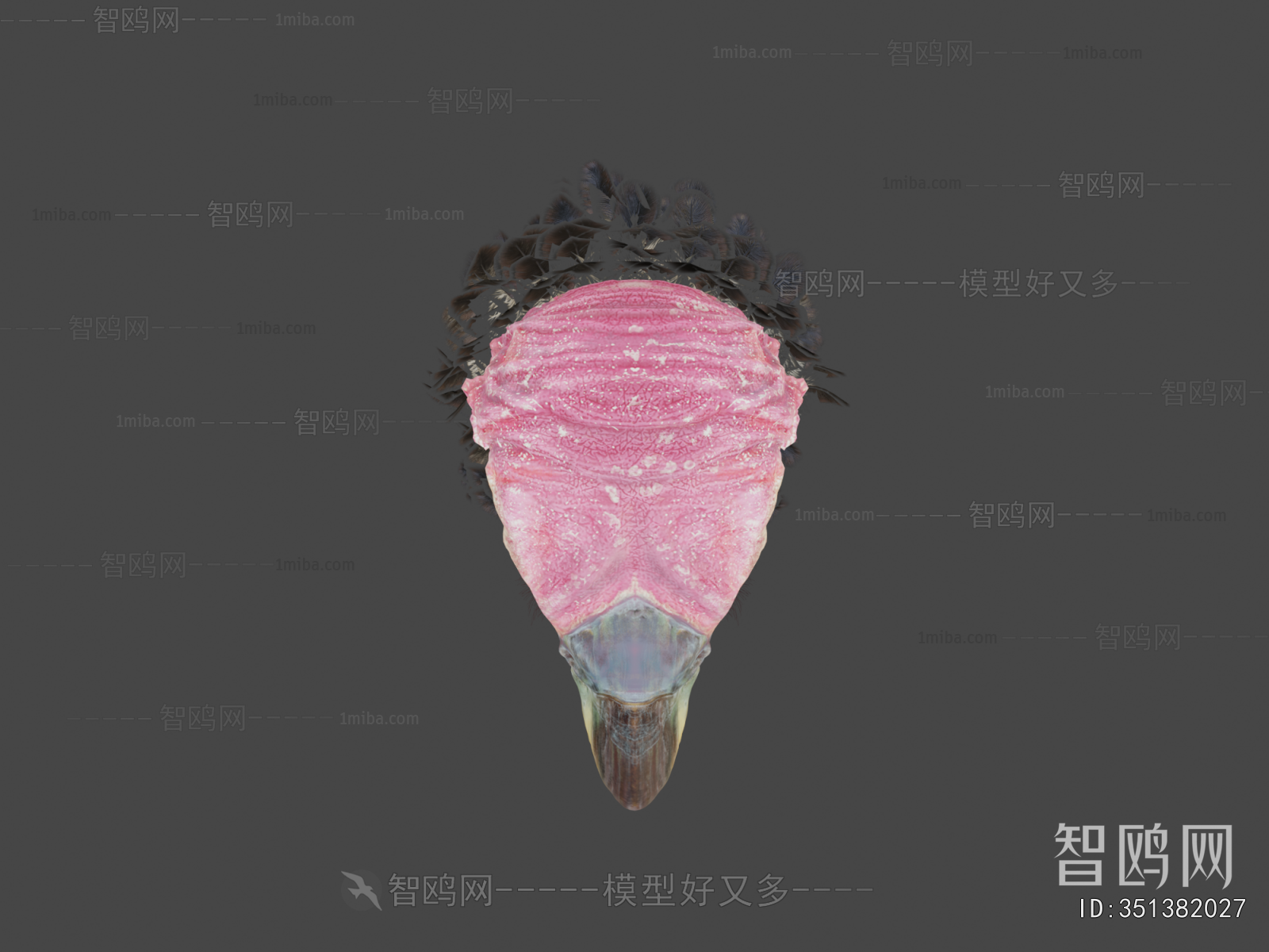 Modern Animal