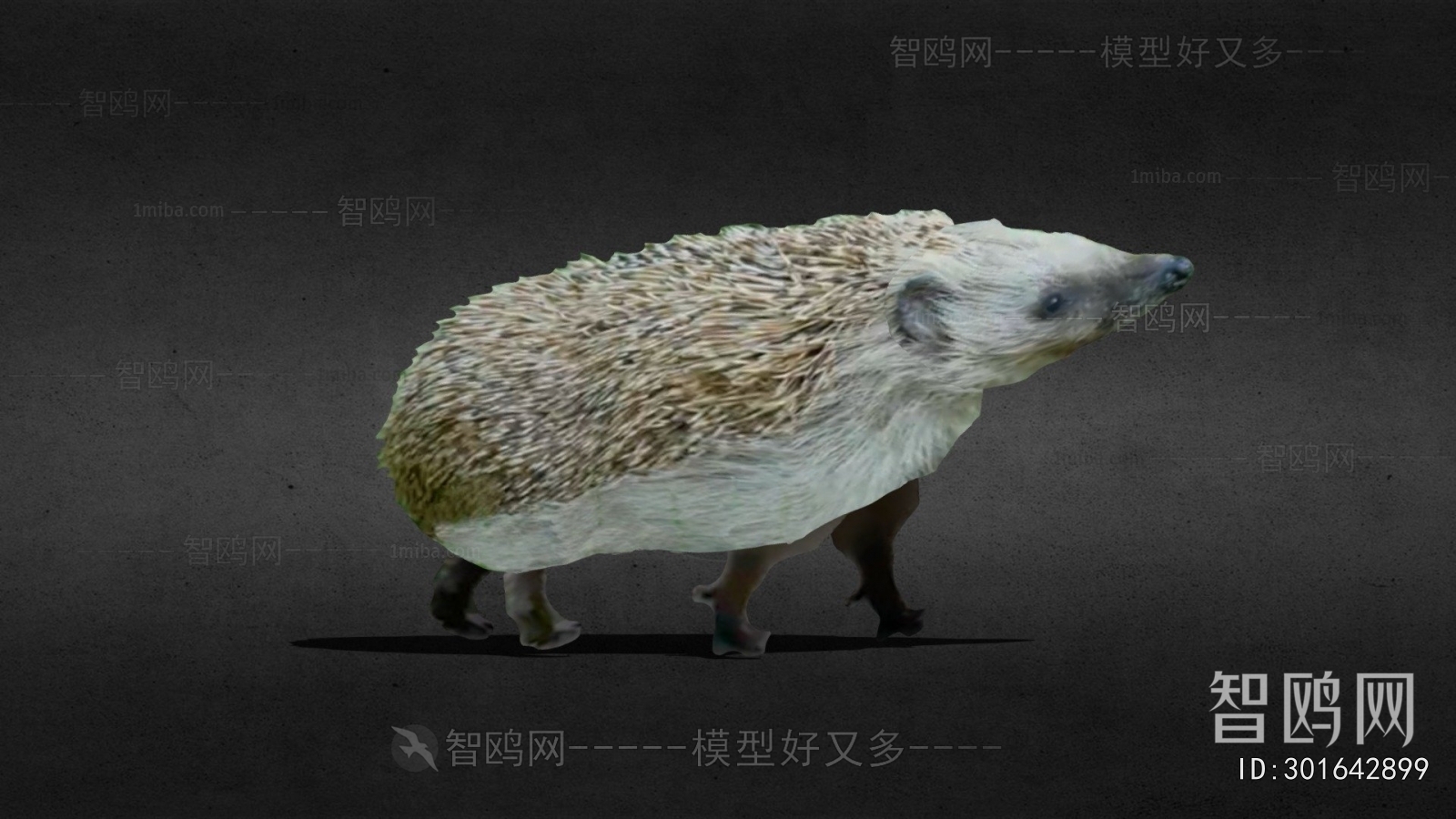 Modern Mammal