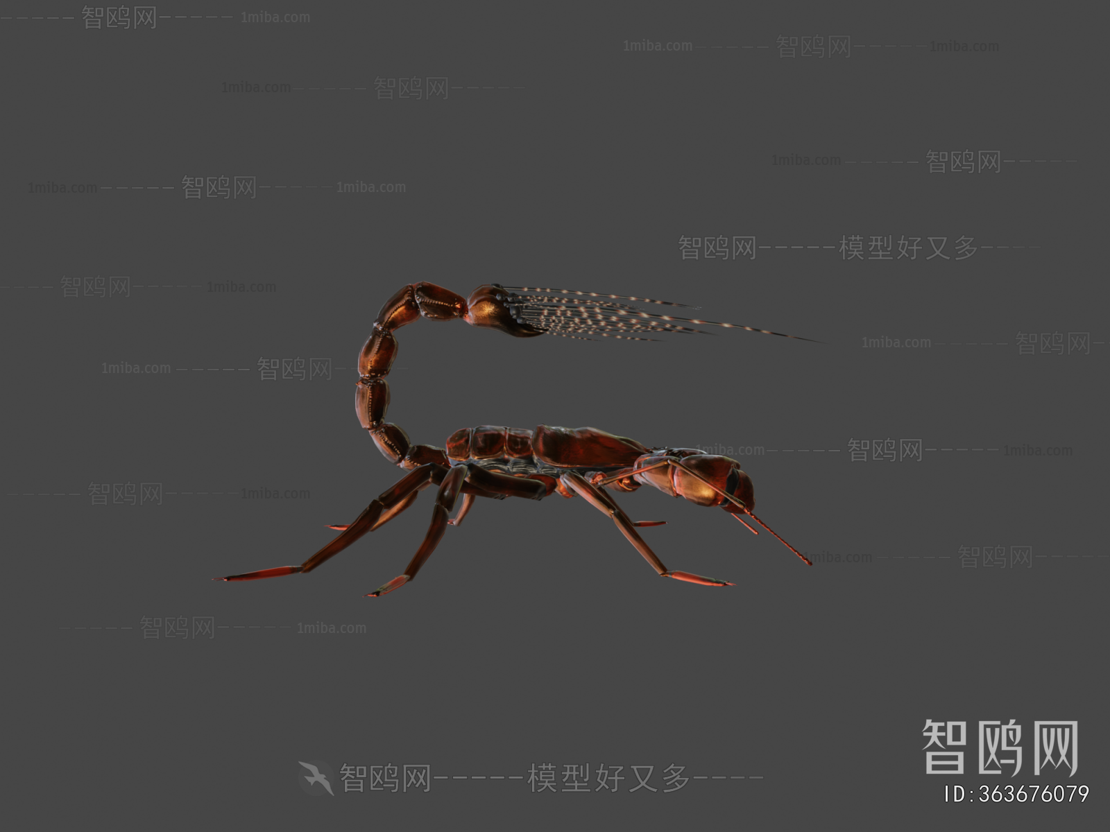 Modern Animal