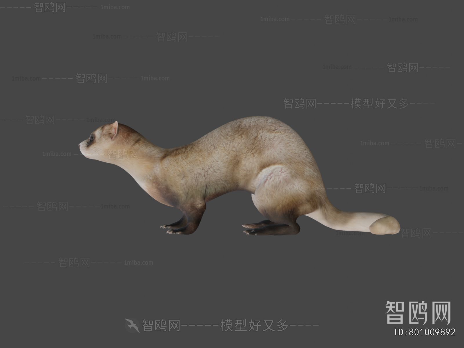 Modern Mammal