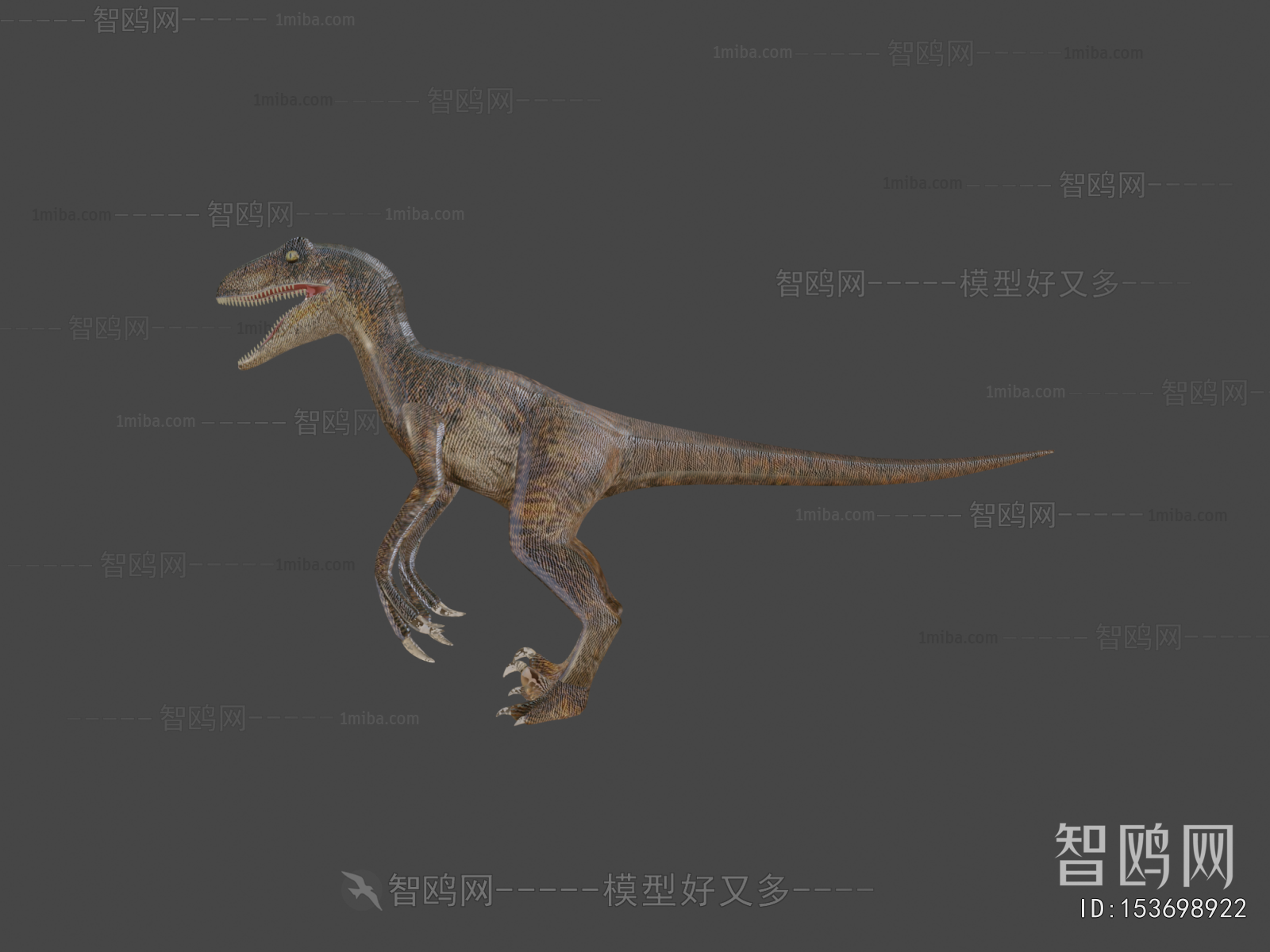 Modern Other Animals