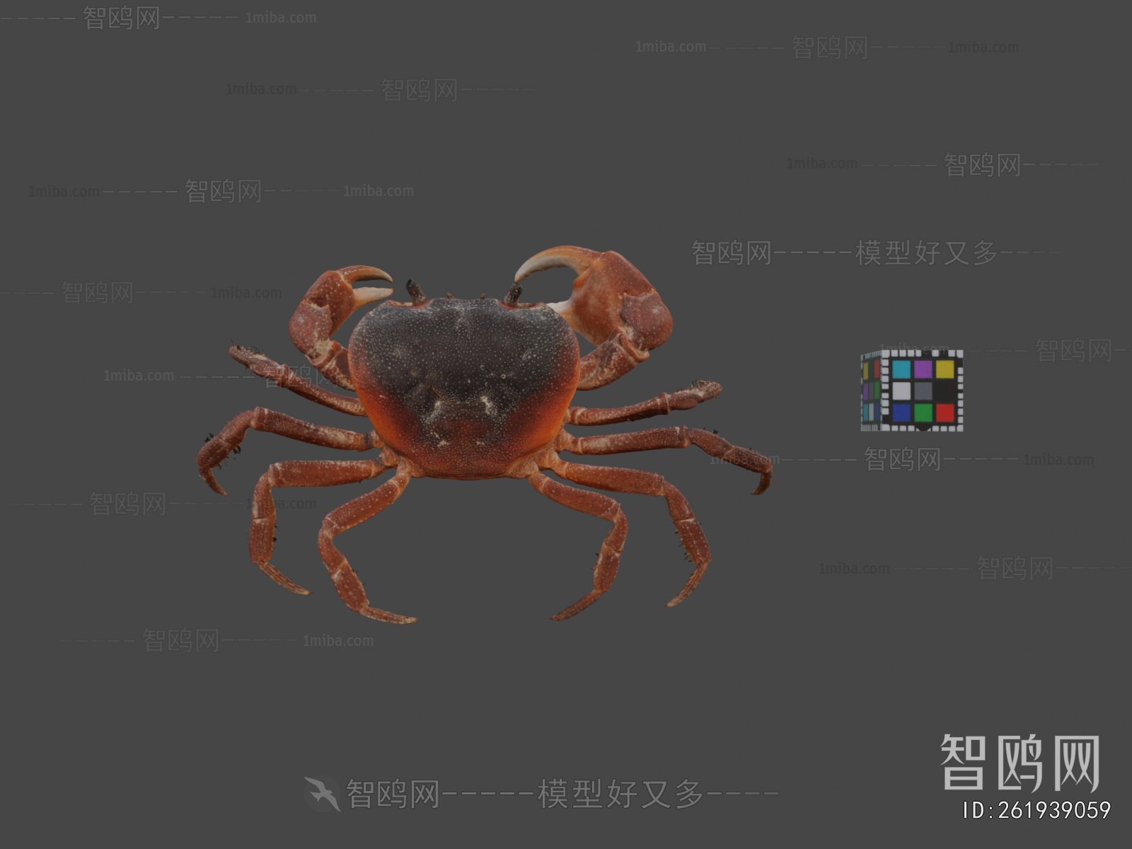 Modern Aquatic Animals