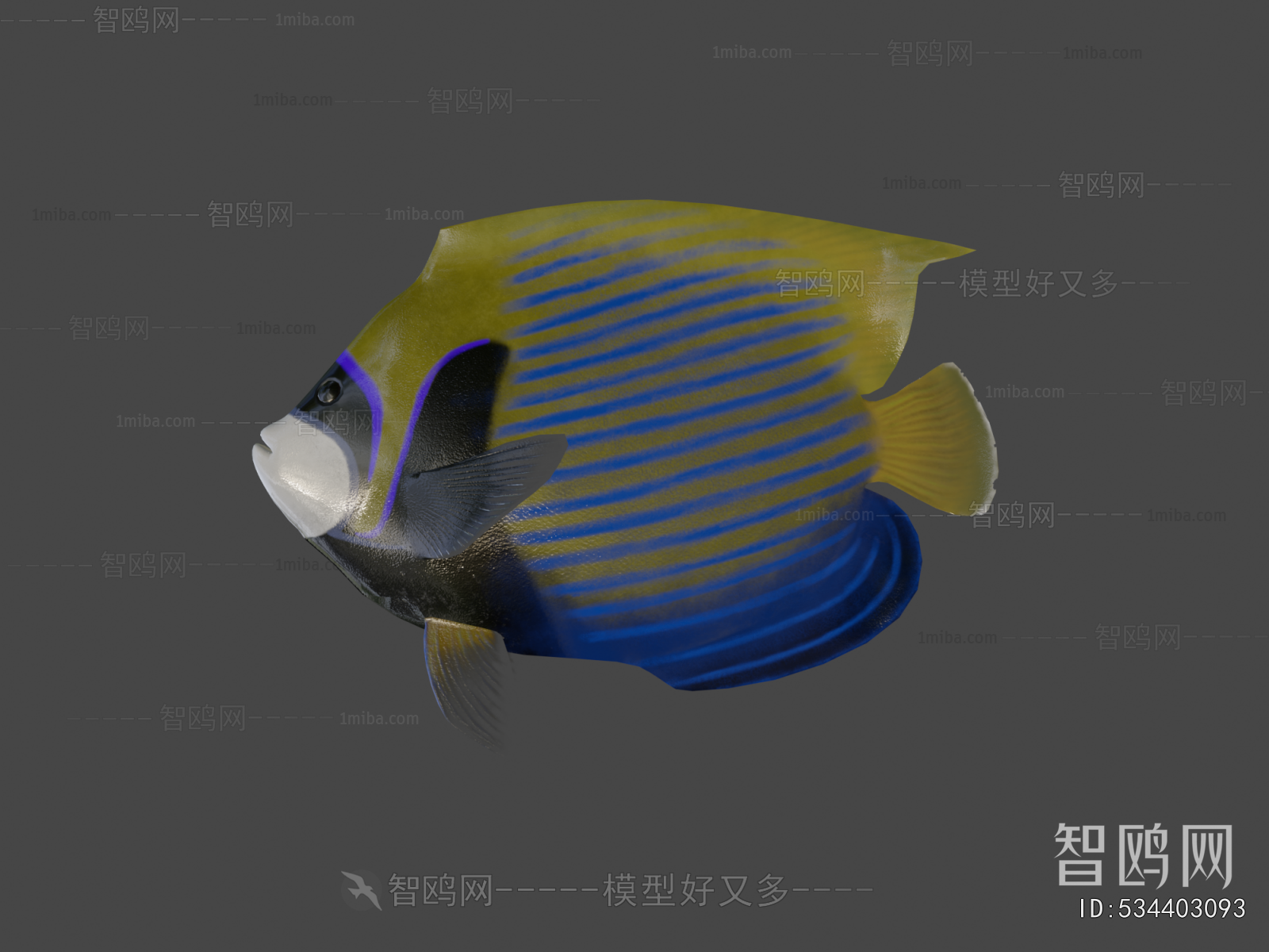 Modern Aquatic Animals