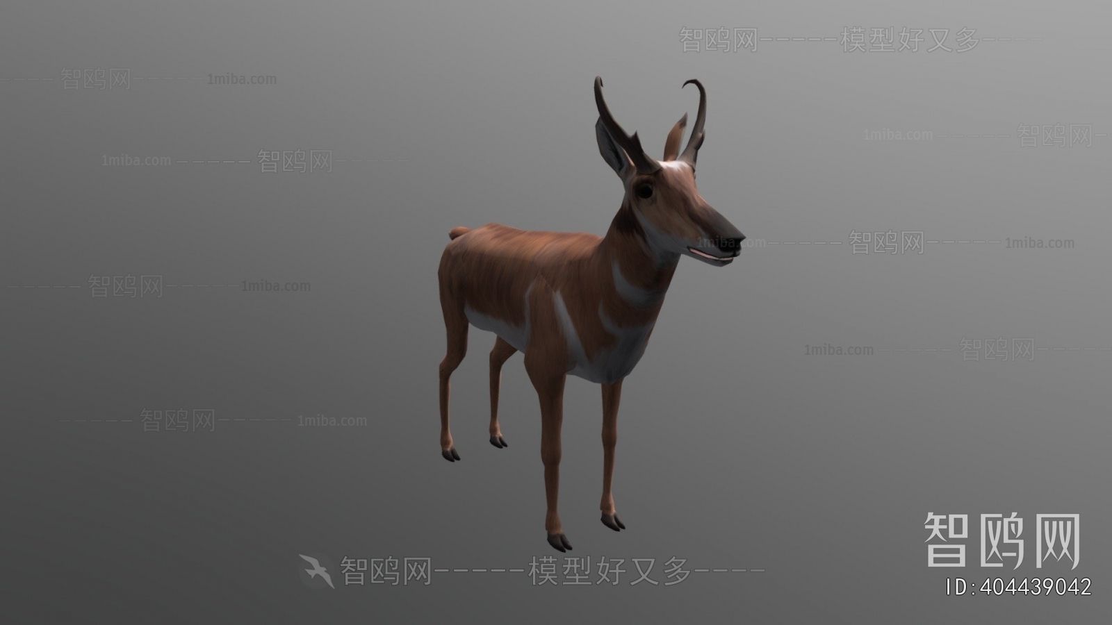 Modern Animal