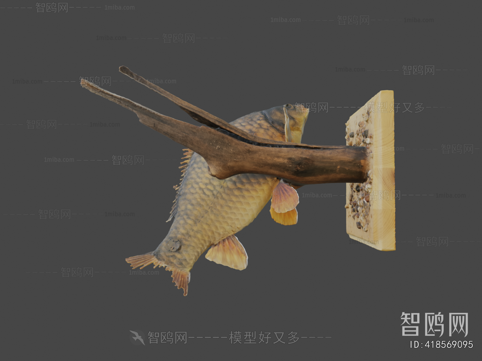 Modern Aquatic Animals