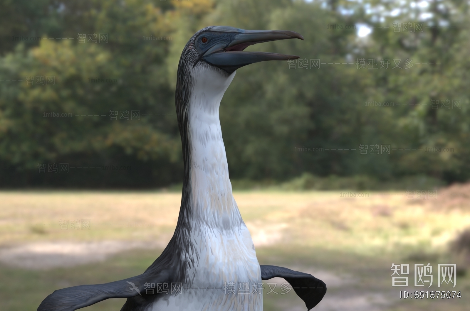 Modern Poultry Animal