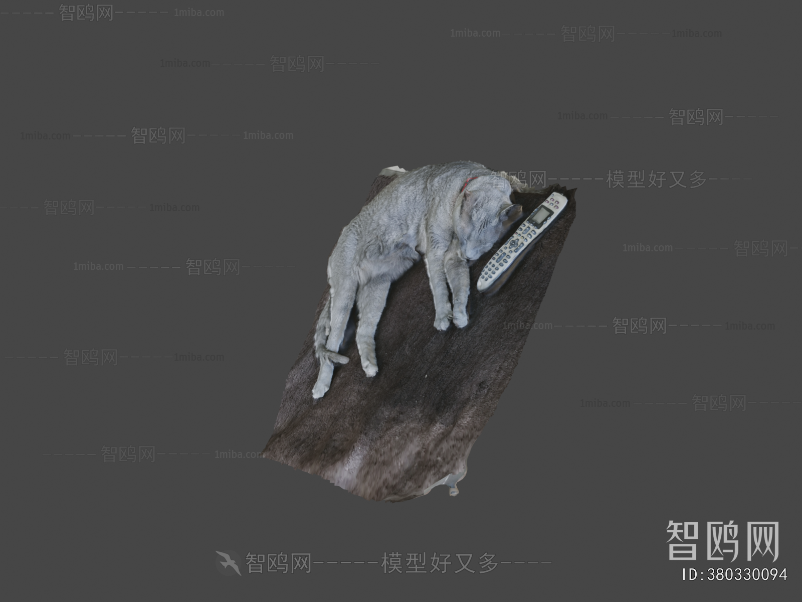Modern Mammal