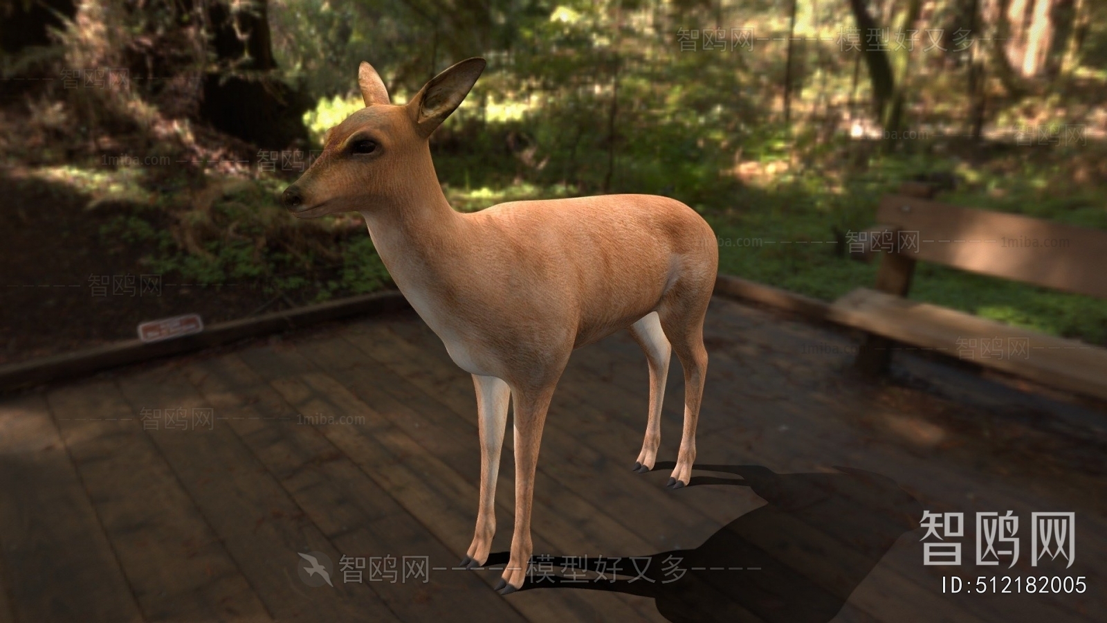 Modern Mammal
