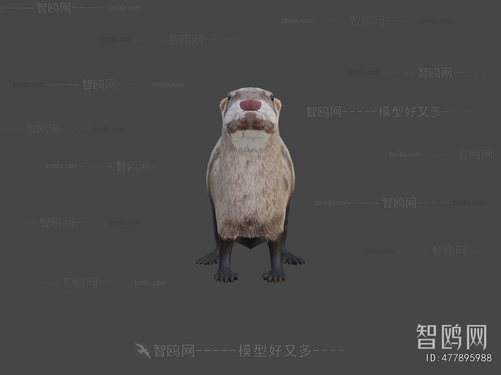Modern Animal