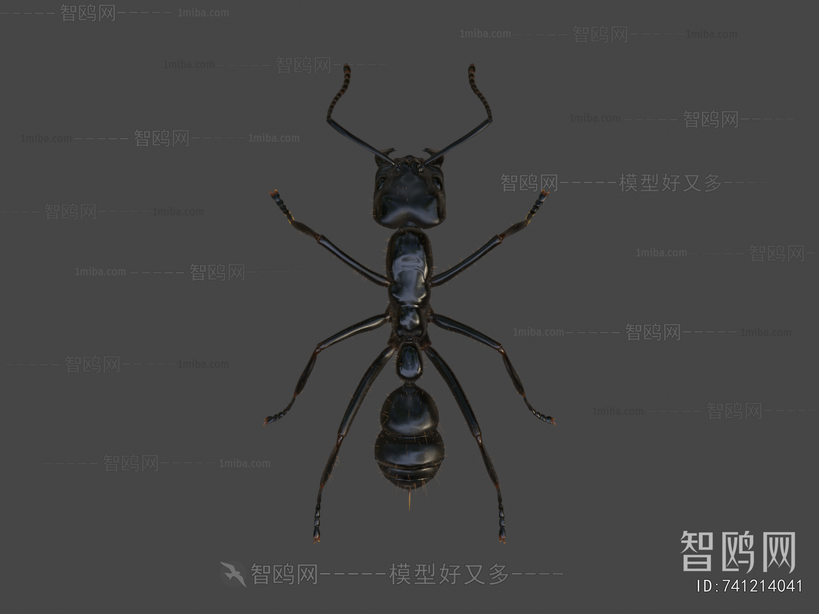 Modern Animal