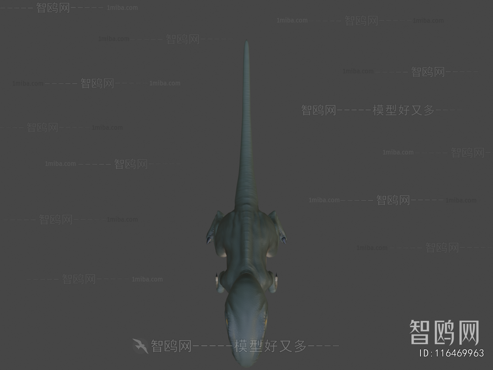 Modern Animal