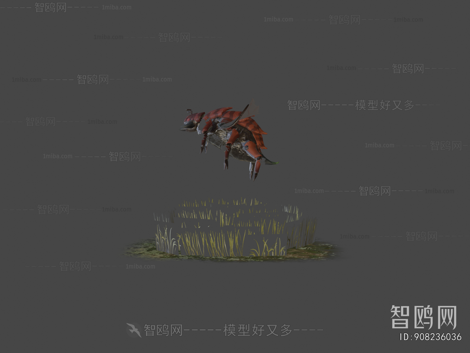 Modern Animal