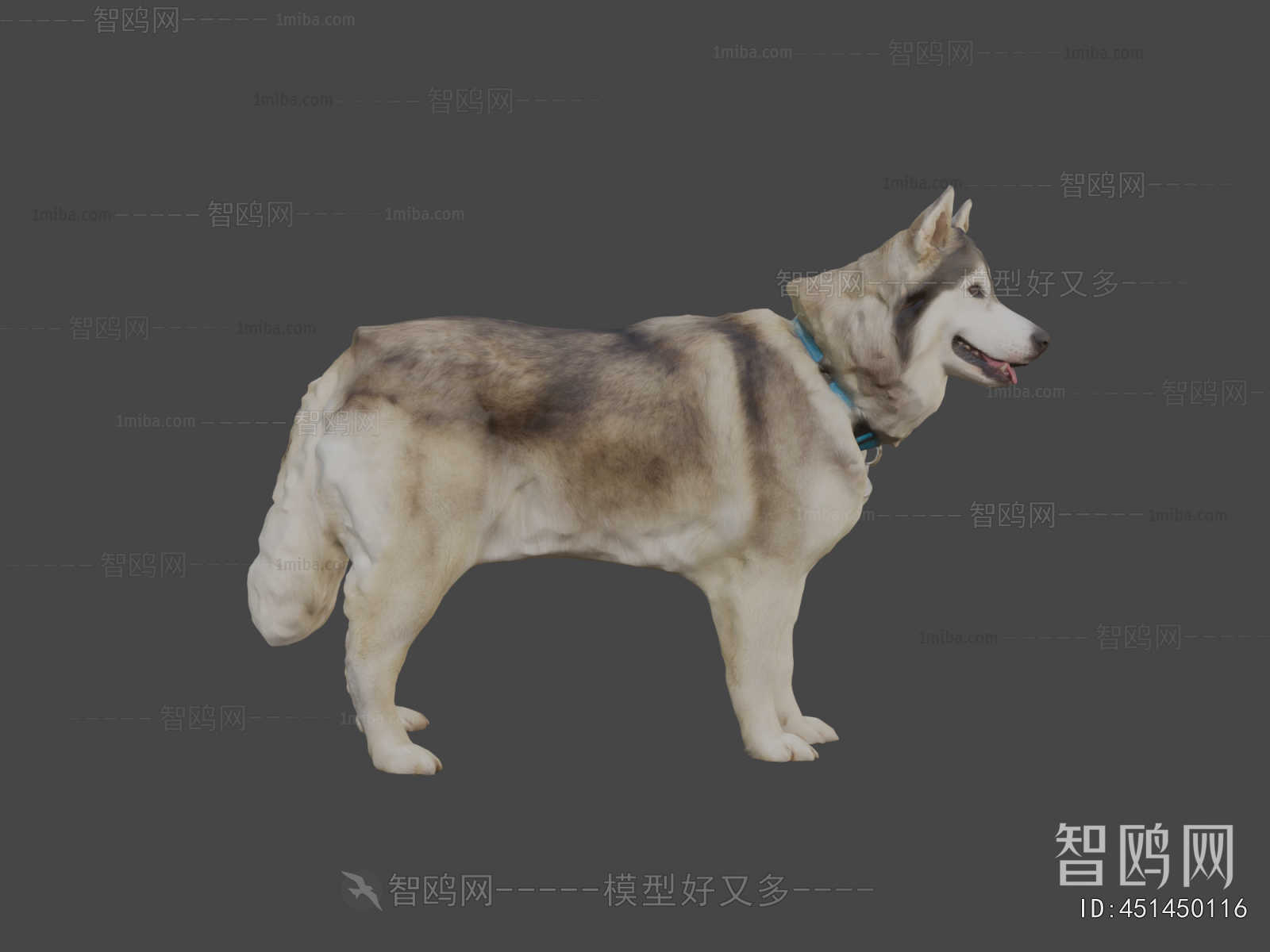 Modern Animal Dog