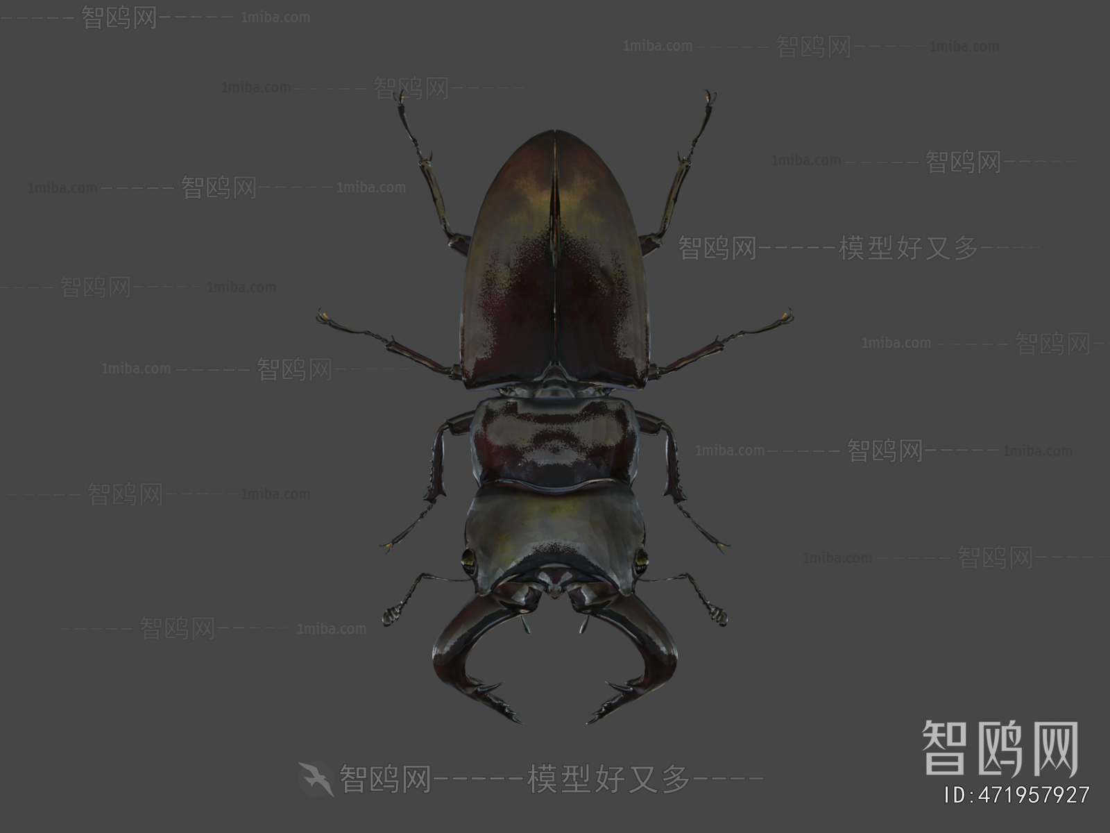 Modern Animal