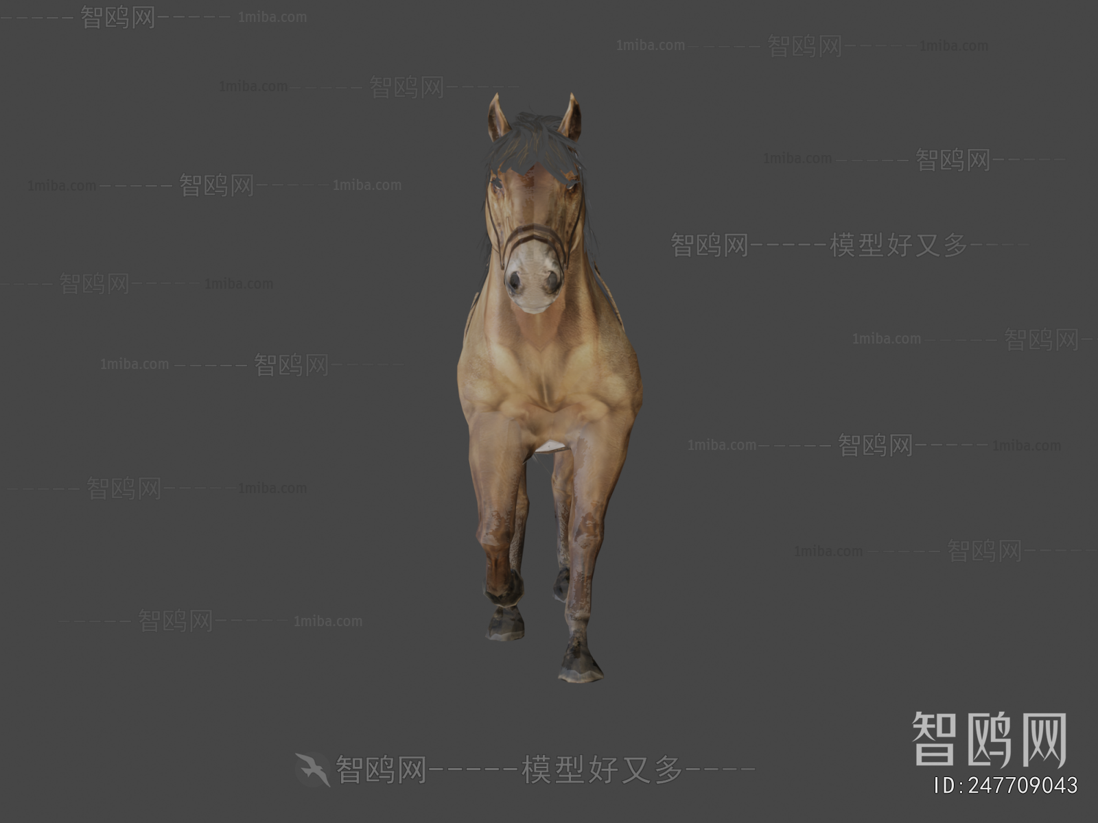 Modern Animal Horse