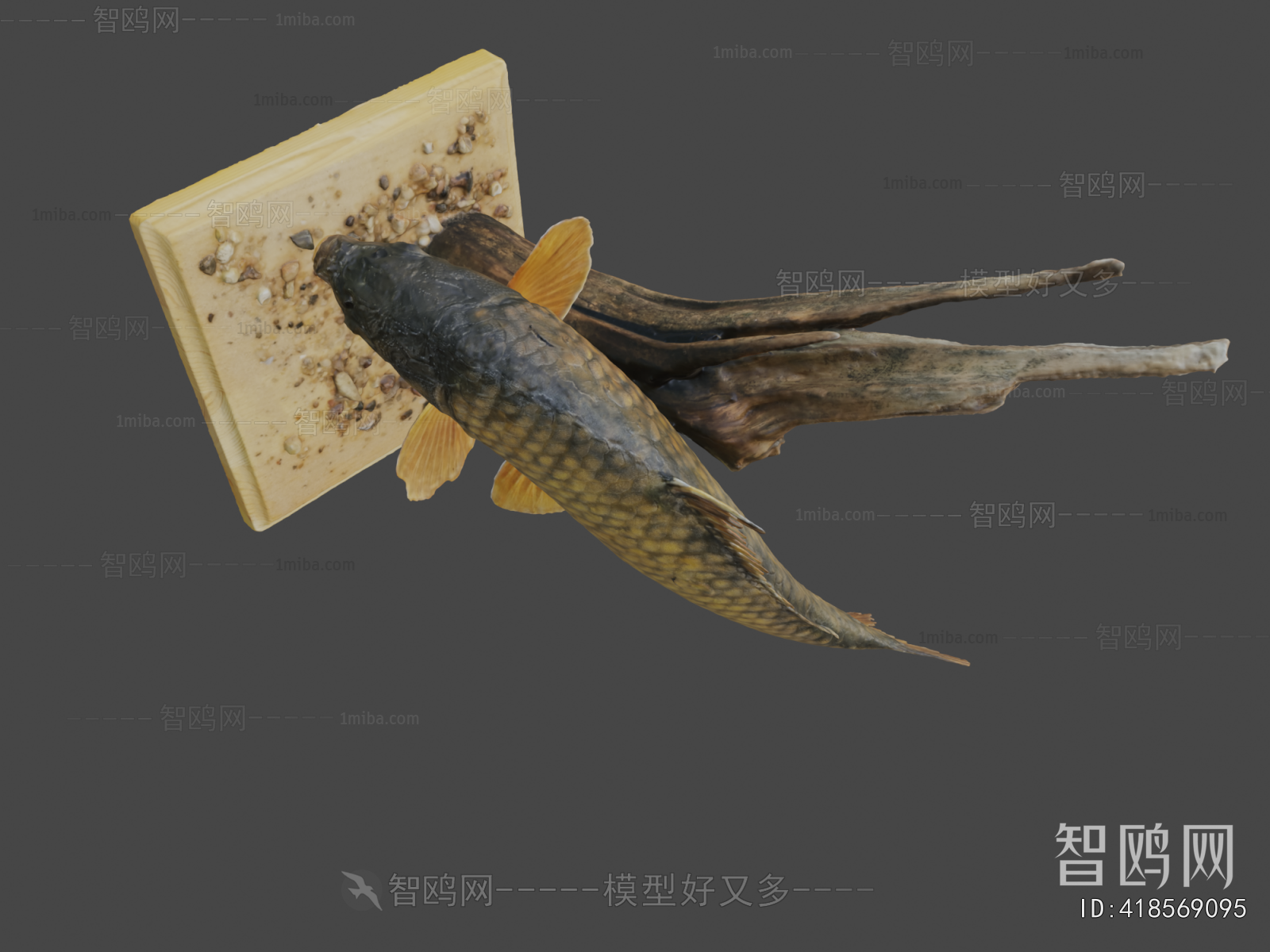 Modern Aquatic Animals