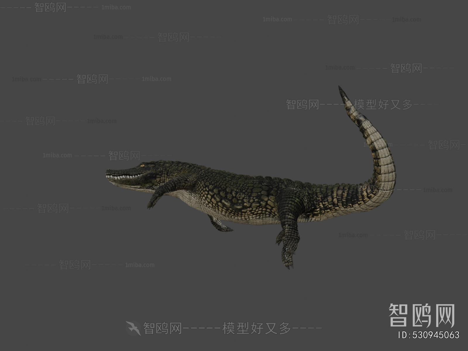 Modern Reptile