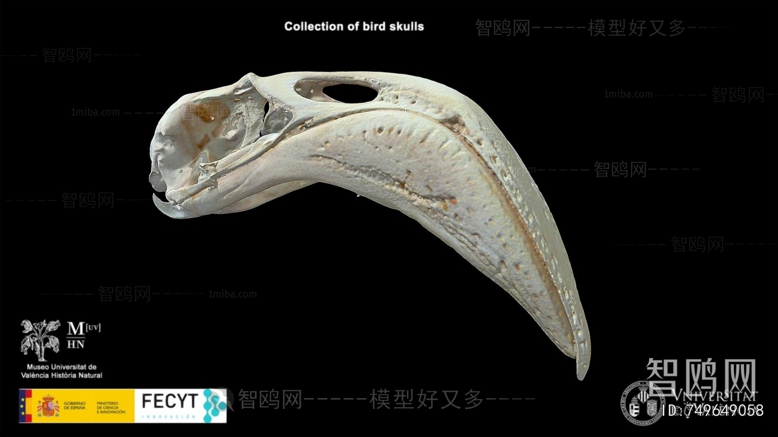 Modern Medical Equipment