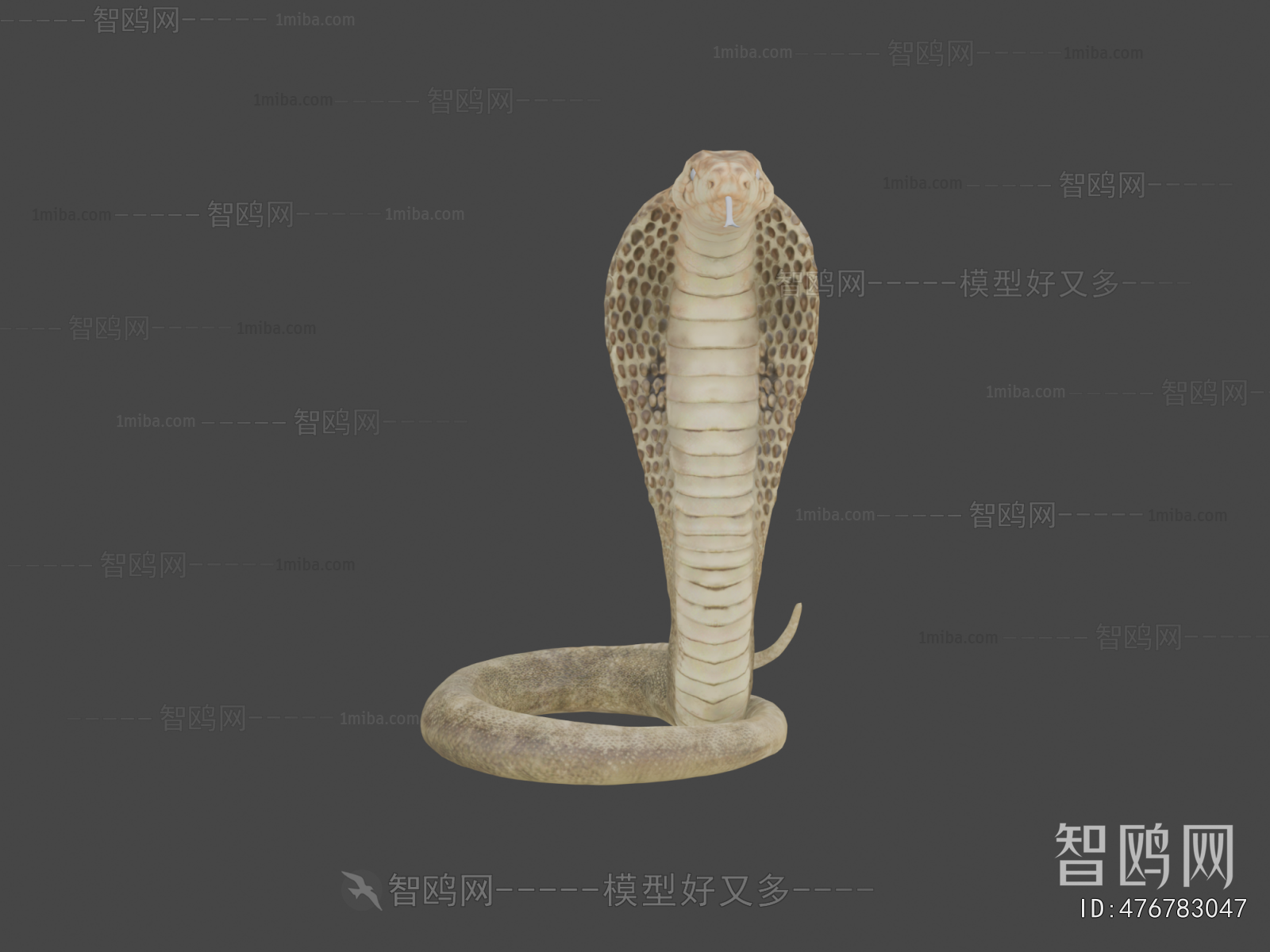 Modern Reptile