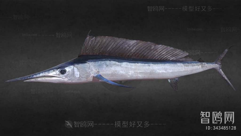 Modern Aquatic Animals
