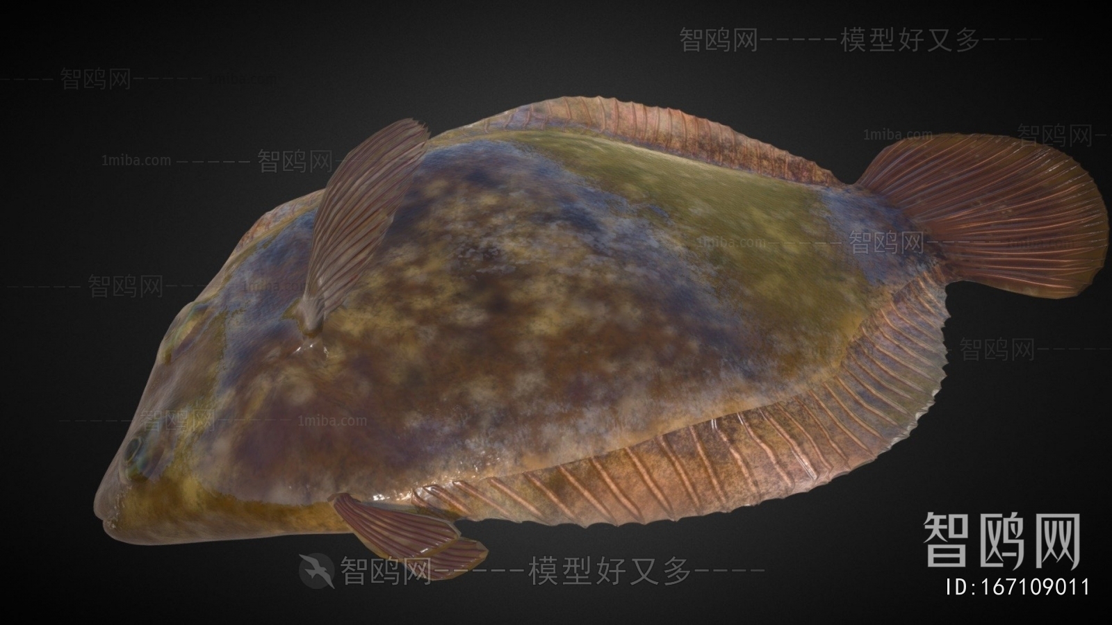 Modern Aquatic Animals