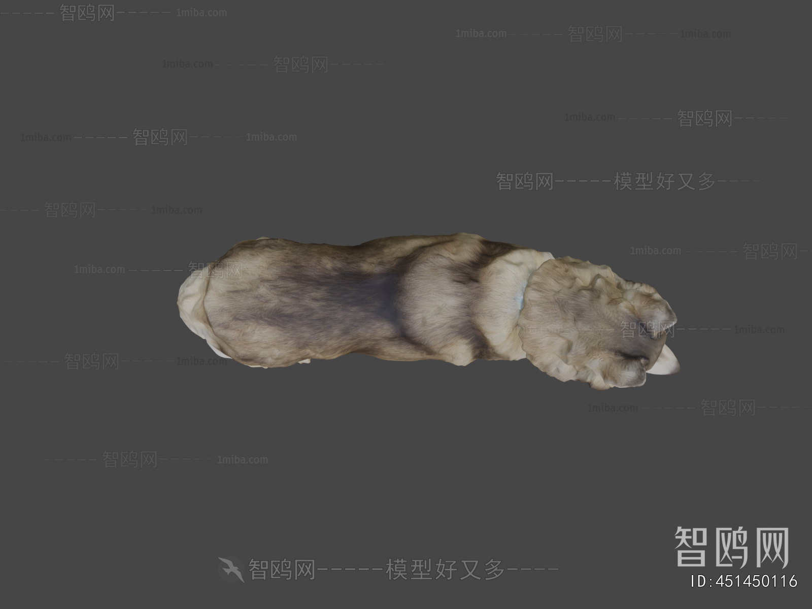 Modern Animal Dog